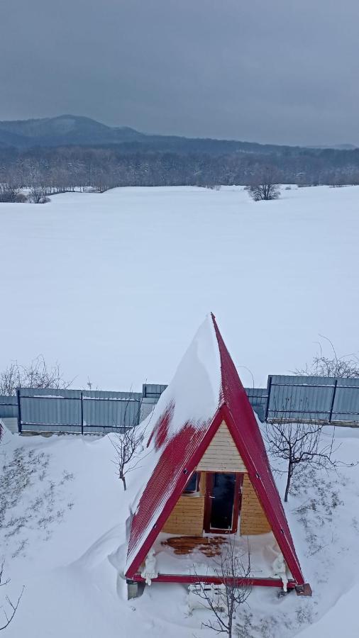 La Capra Vecinului Villa Oglinzi Buitenkant foto