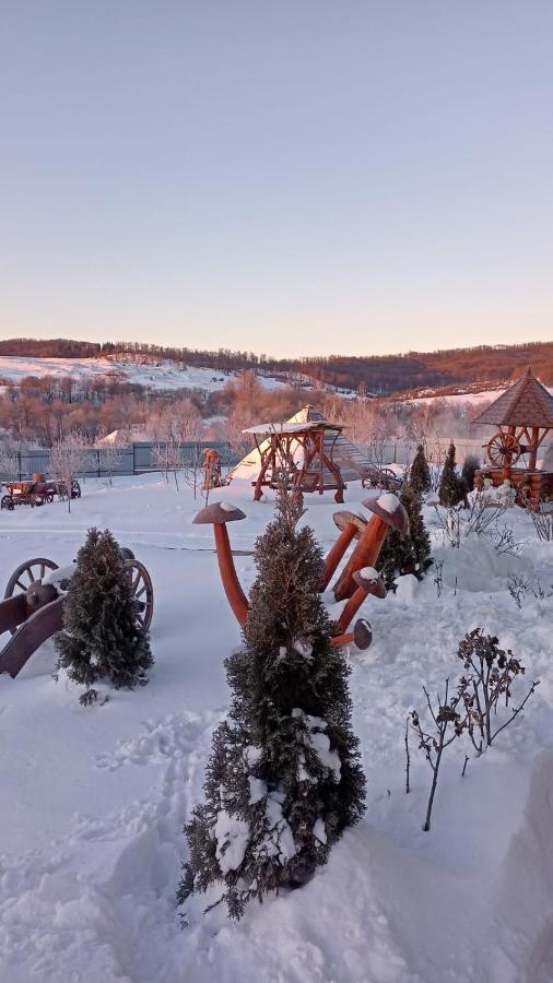 La Capra Vecinului Villa Oglinzi Buitenkant foto