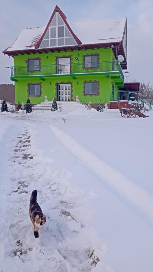 La Capra Vecinului Villa Oglinzi Buitenkant foto