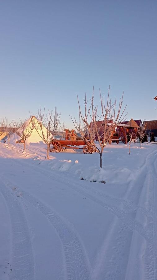 La Capra Vecinului Villa Oglinzi Buitenkant foto